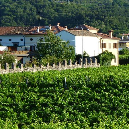 Agriturismo Grillo Iole Winery Prepotto  Exterior foto