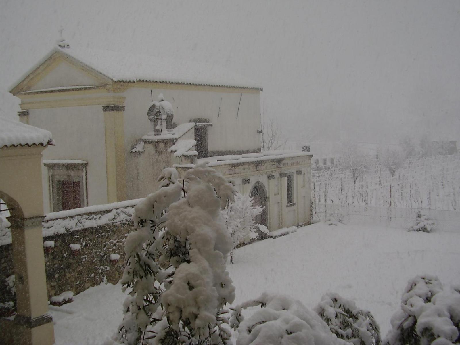 Agriturismo Grillo Iole Winery Prepotto  Exterior foto