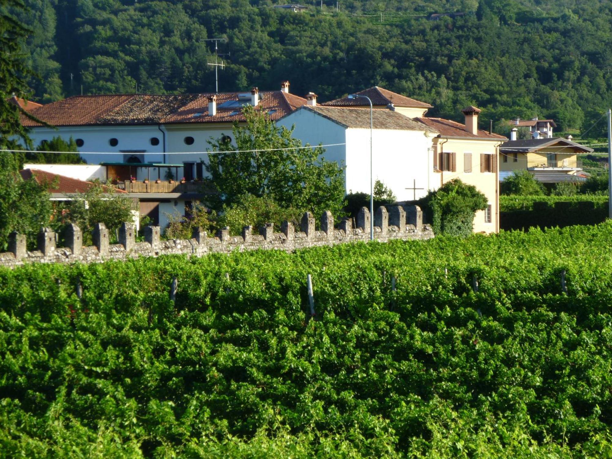 Agriturismo Grillo Iole Winery Prepotto  Exterior foto
