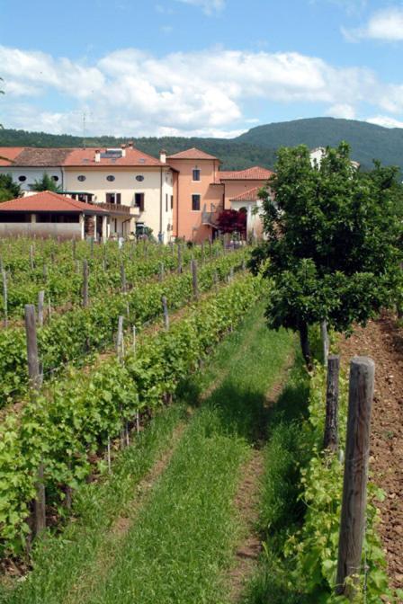Agriturismo Grillo Iole Winery Prepotto  Exterior foto